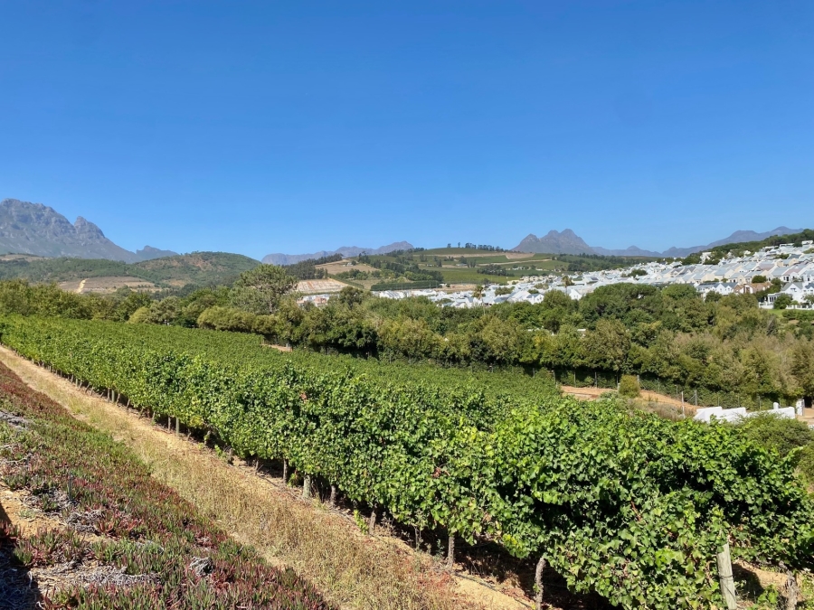 4 Bedroom Property for Sale in Weltevreden Hills Estate Western Cape